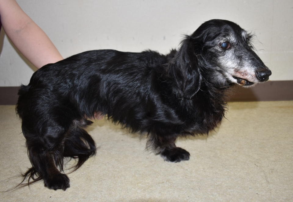 胆嚢破裂の症状